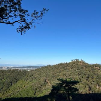 柴山から天狗山を望む。
ポヤポヤ？の山頂が特徴😊
遠くには浅間山。