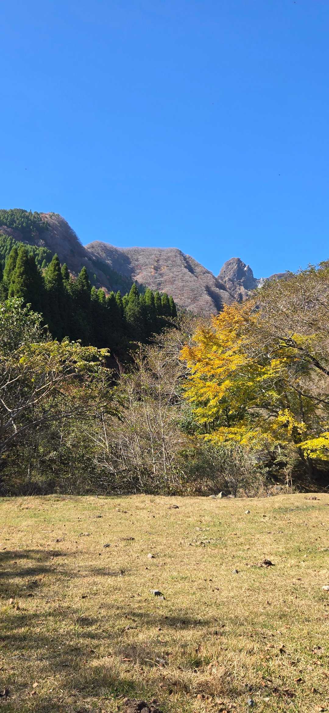 大戸尾根登山口-根子岳 往復コースの写真