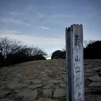 登山口から15分ほどで山頂に到着⛰️
カメラは夜モードなんで明け方みたいな感じで撮れてますが、、実は真っ暗です！