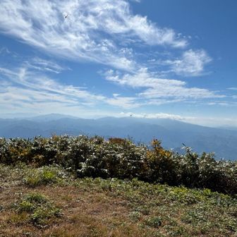 南側、浅草岳(左)や守門岳
守門岳の手前に、八十里越七名山(*)で唯一登っていない番屋山、いつか行きたいな

(*)八十里越七名山
只見町の「只見四名山」（「要害山」「蒲生岳」「浅草岳」「会津朝日岳」）に、三条市の「粟ヶ岳」「守門岳」「番屋山」を加えた7座

八十里越は、昔々、テントを背負って仲間と山菜を探しながら歩いた懐かしい道
今はどんなだろう