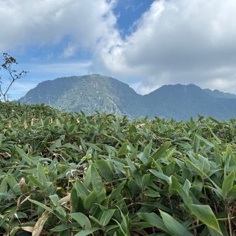 筒上山南面の岩肌が見える。頂上の人が見える。鳥肌です！🐓