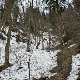 雪が残ってます