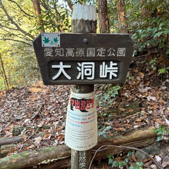 大洞峠を越えて