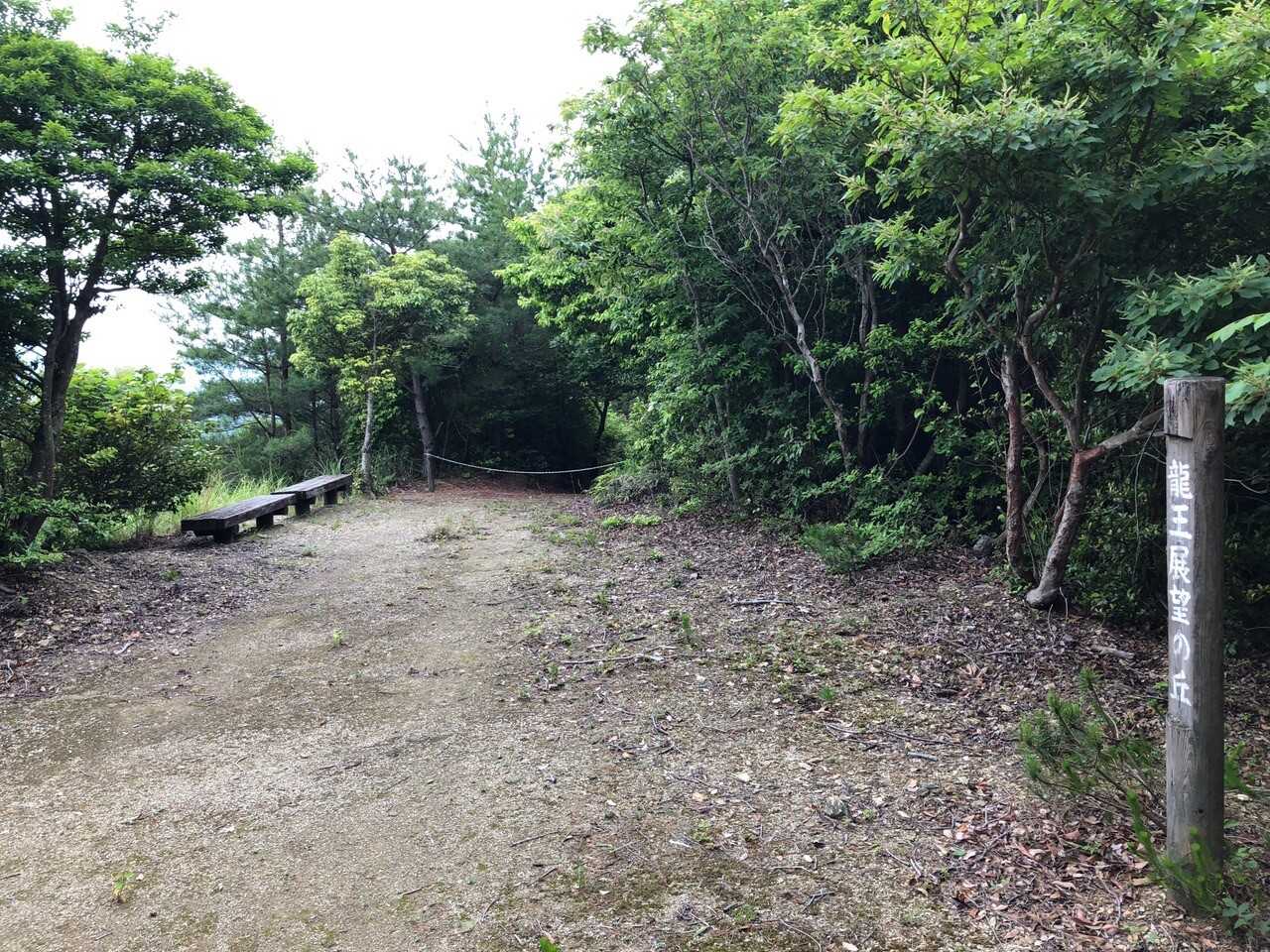 東龍王山の写真