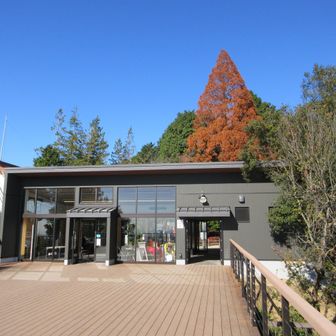 展望台があります