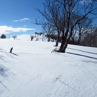 はぁ〜☺️今日来ることにして良かった〜