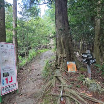 如意ヶ岳への分岐でござる