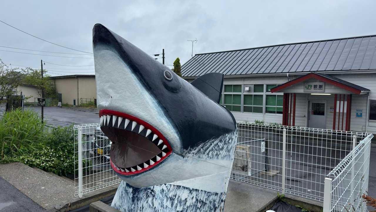 みちのく潮風トレイル（蕪島〜種差海岸）／青森遠征Day2 の写真 3