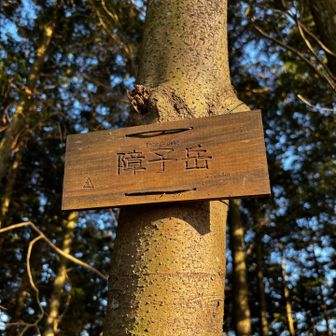 二つ目ゲット⛰️