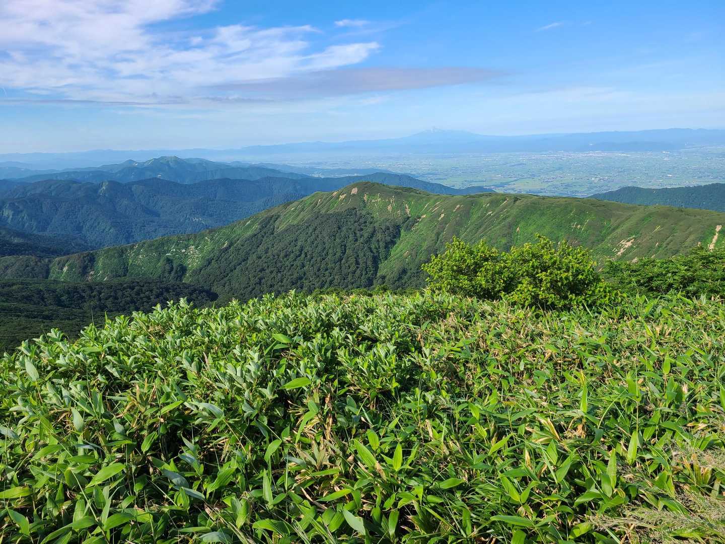 小鷲倉から振り返って、薬師岳と鳥海山✨✨

左のほうには、今朝がた確認した真昼岳のお姿も⛰️