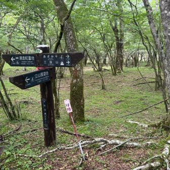 立山通過
展望台に行ってみる
富士山🗻拝めるか？
