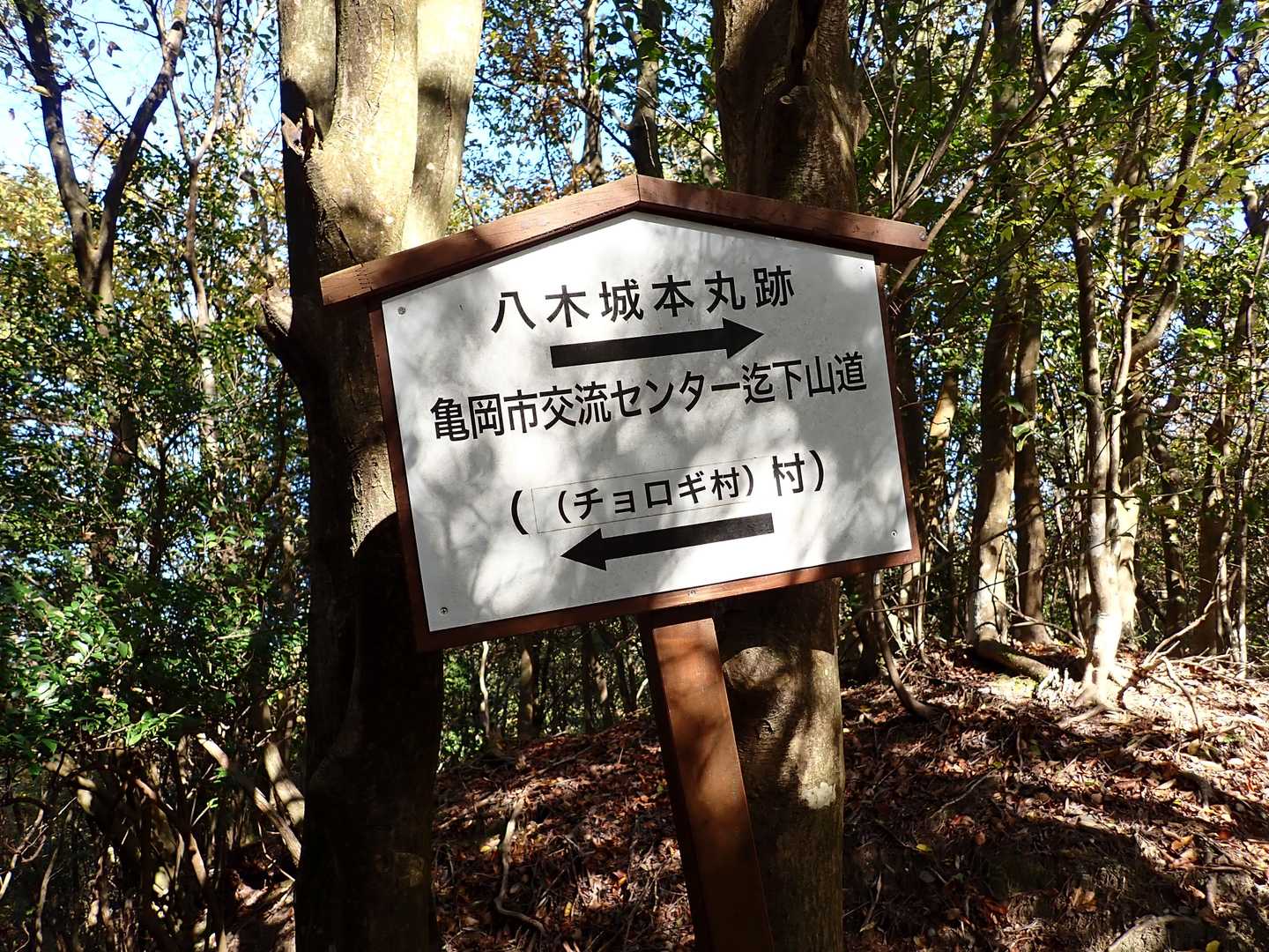 標識も多く整備されている。
