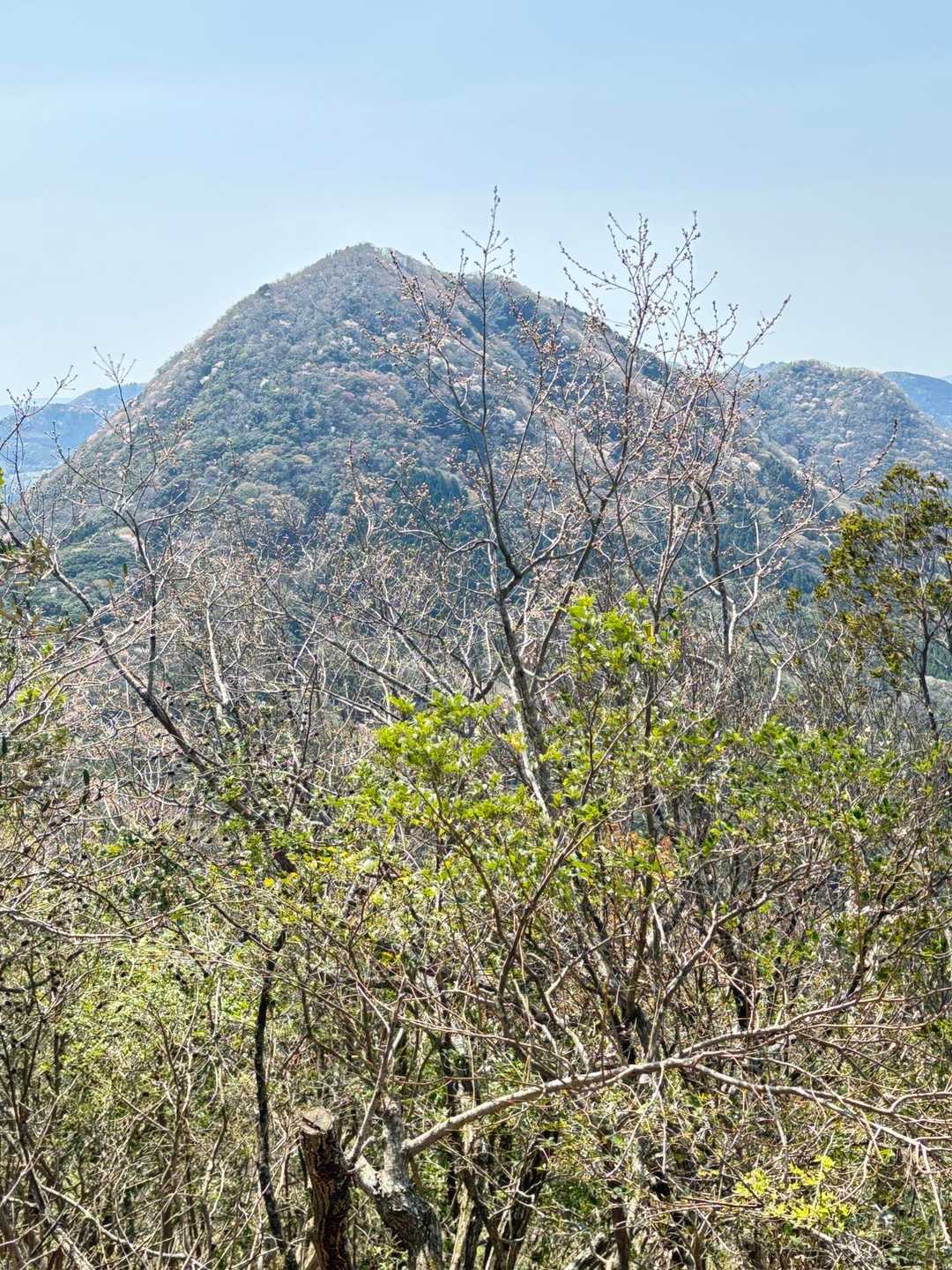 古城跡妙見山登山口-妙見山-谷山-石山-鬼落山-石山登山口 周回コースの写真