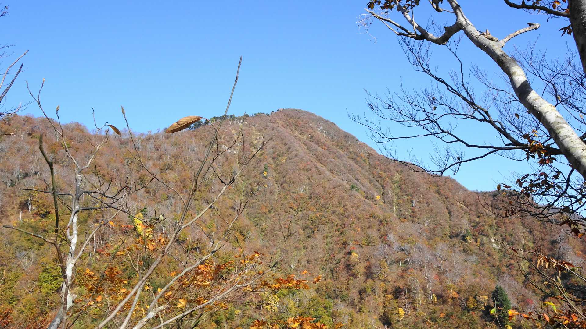 徳網山 往復コースの写真