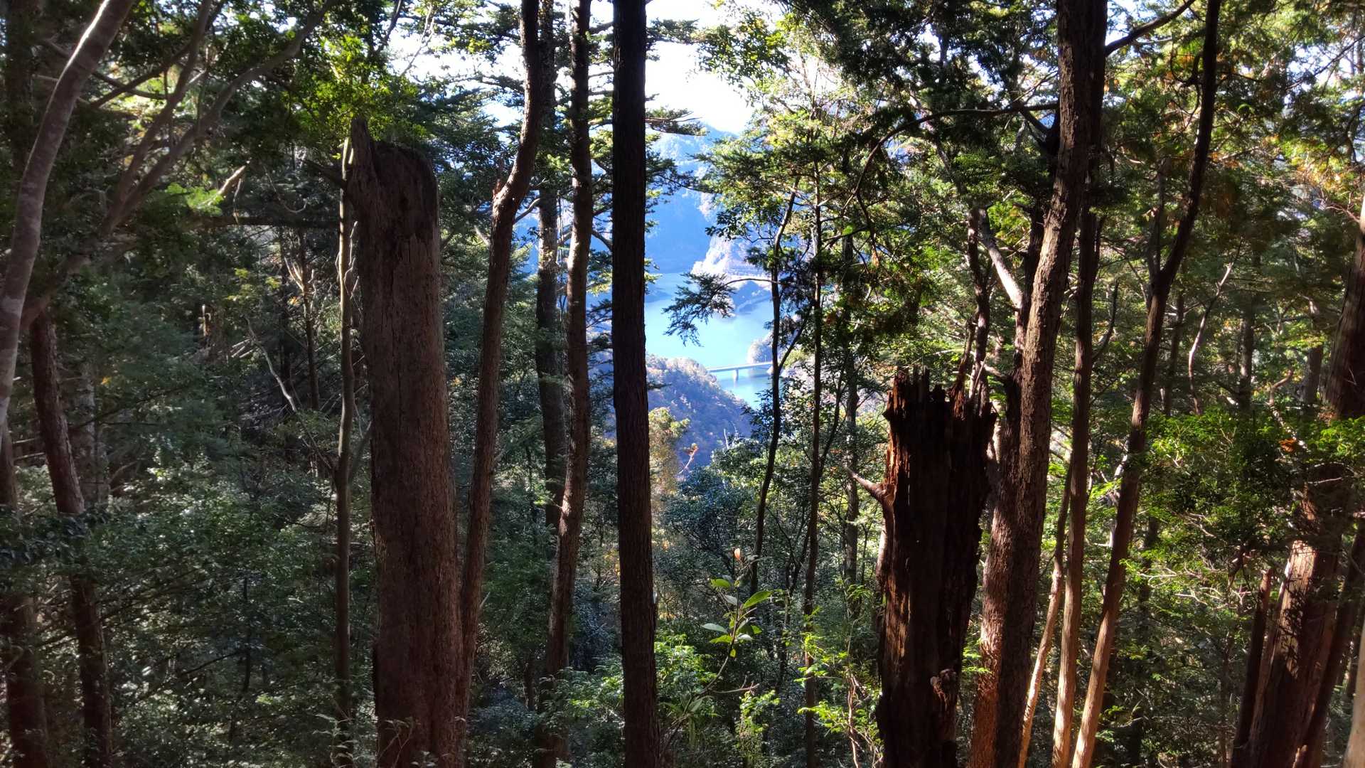 鍵掛山 往復コースの写真