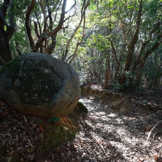 ウサギ石、今日は何に見える？