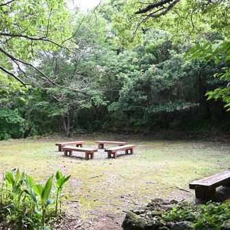 以前はやぐらがあったけど朽ちてて使えなかったが、それが撤去されてすっきりしてる