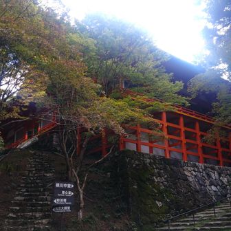 横川中堂。紅葉し始めています