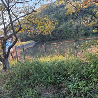 池の水多め