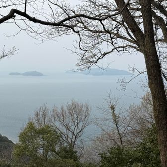 たぶん一生行く用事無いでしょう。