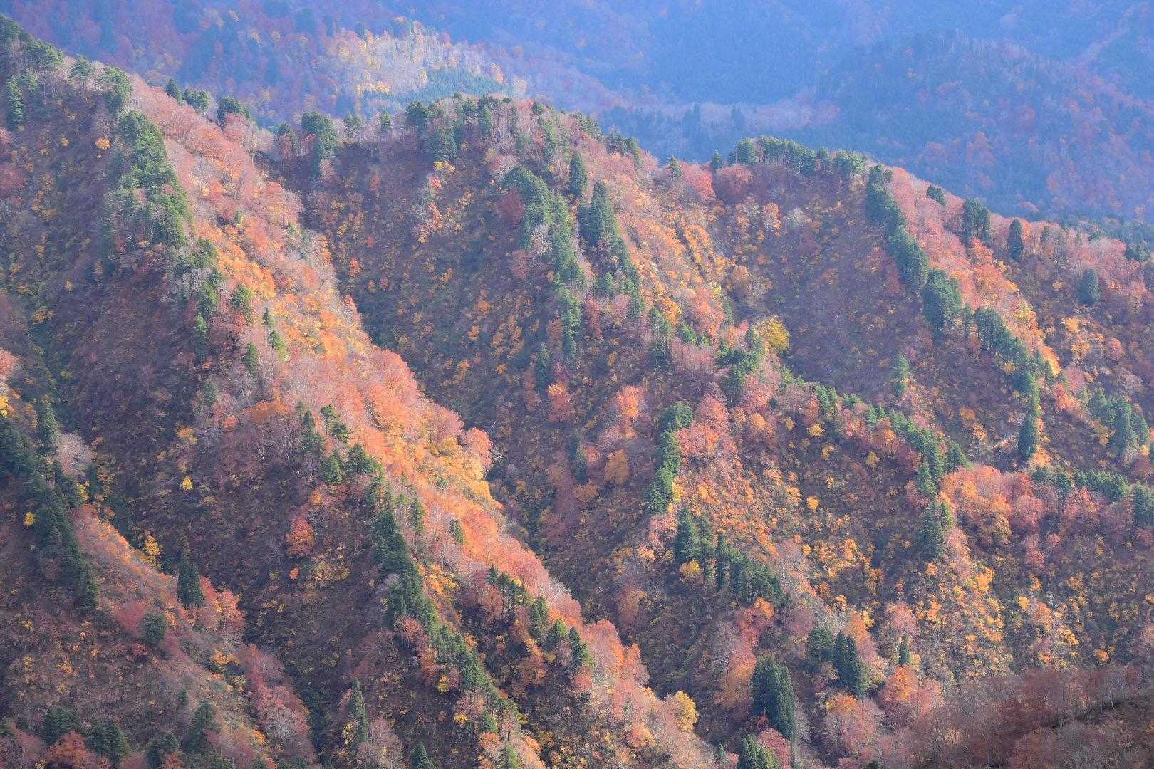 菱ヶ岳登山口-菱ヶ岳-与平の頭-中ノ岳-前一ノ峰 周回コースの写真