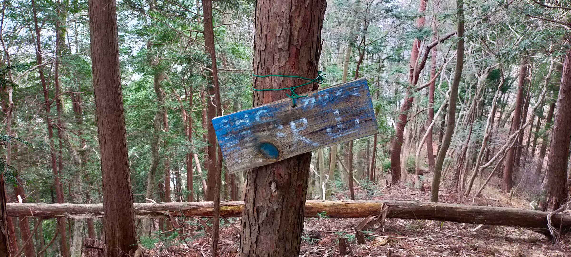 蟹沢山 山頂