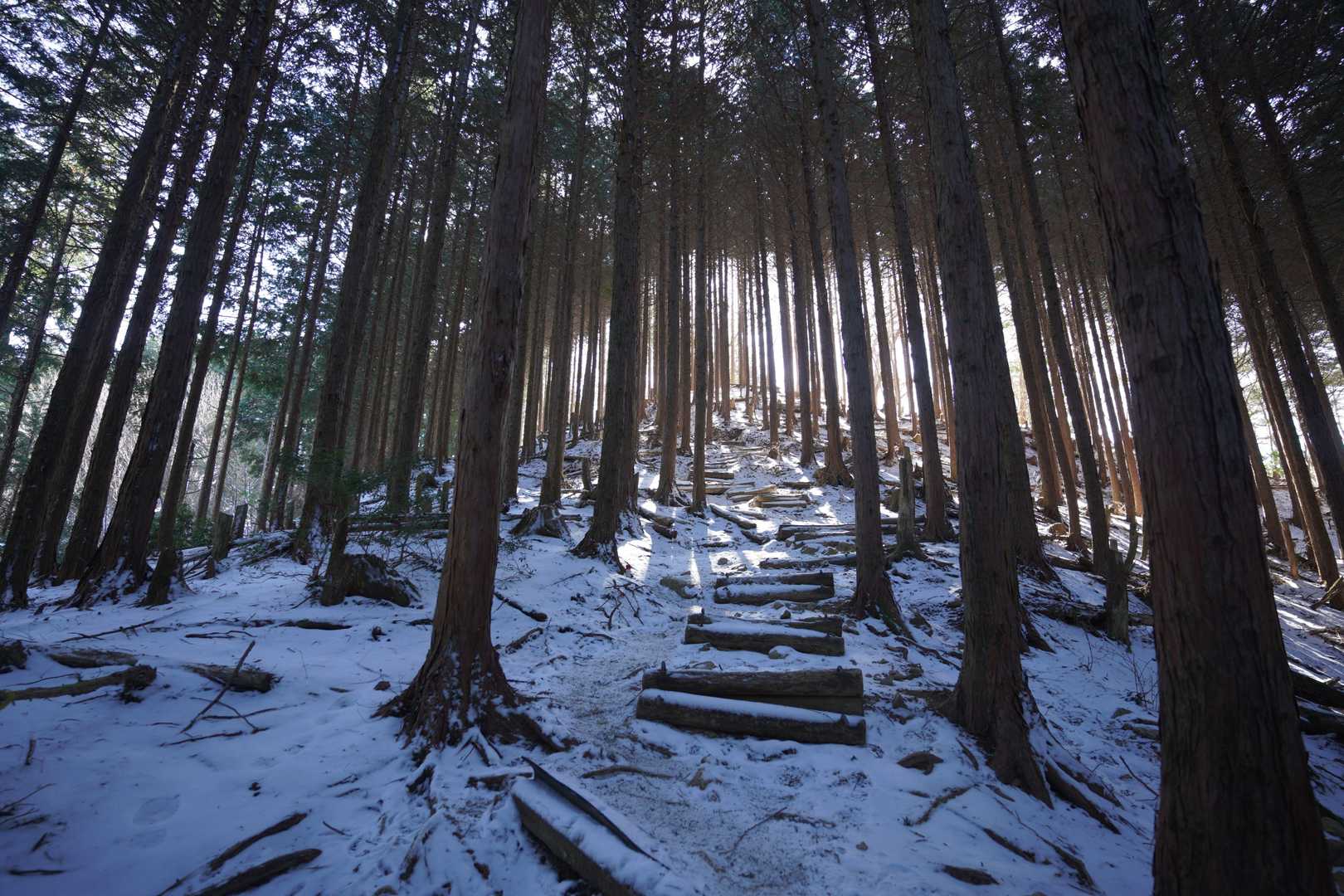 高見山 | 三峰山や金剛連山など360度の大展望。下山後はたかすみ温泉への写真