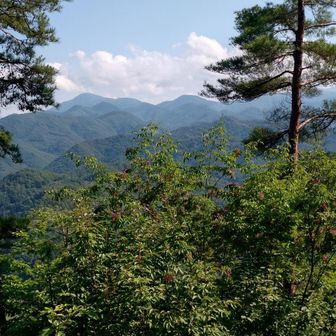 山頂から。明日狙う小野岳は、右か。左は会津若松最高峰の大戸岳か。