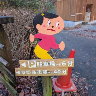 駐車場🅿️へ向かいます〜