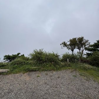 花立山荘横の富士山🗻🌫️🫥