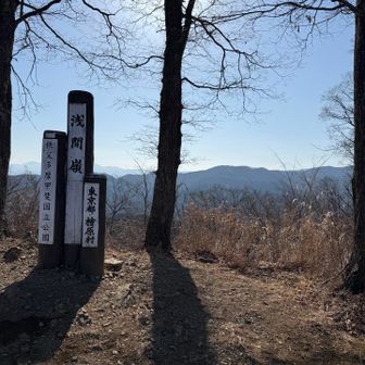 ホントはここ頂上じゃないけどw
右奥には、うっすらと富士山