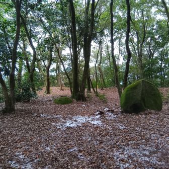 城趾の雰囲気　筑紫氏の本城だった

ここは気持ち良い雰囲気でした
