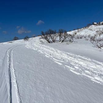 スキー跡