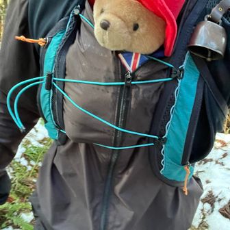 胸元にパディントン