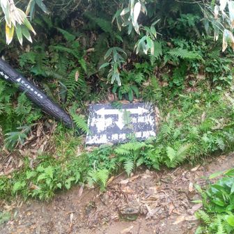 地蔵山への分岐、疲れが出始めていたので迷いましたが、片道10分と聞いて行くことに