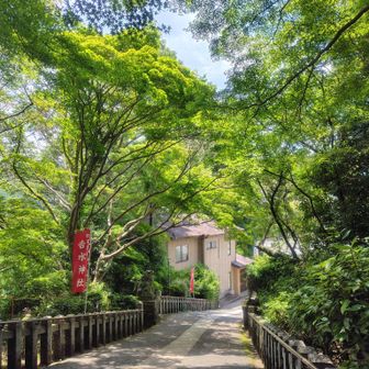 時々風も吹いて涼しい〜