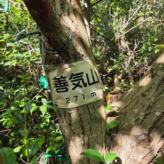 善気山