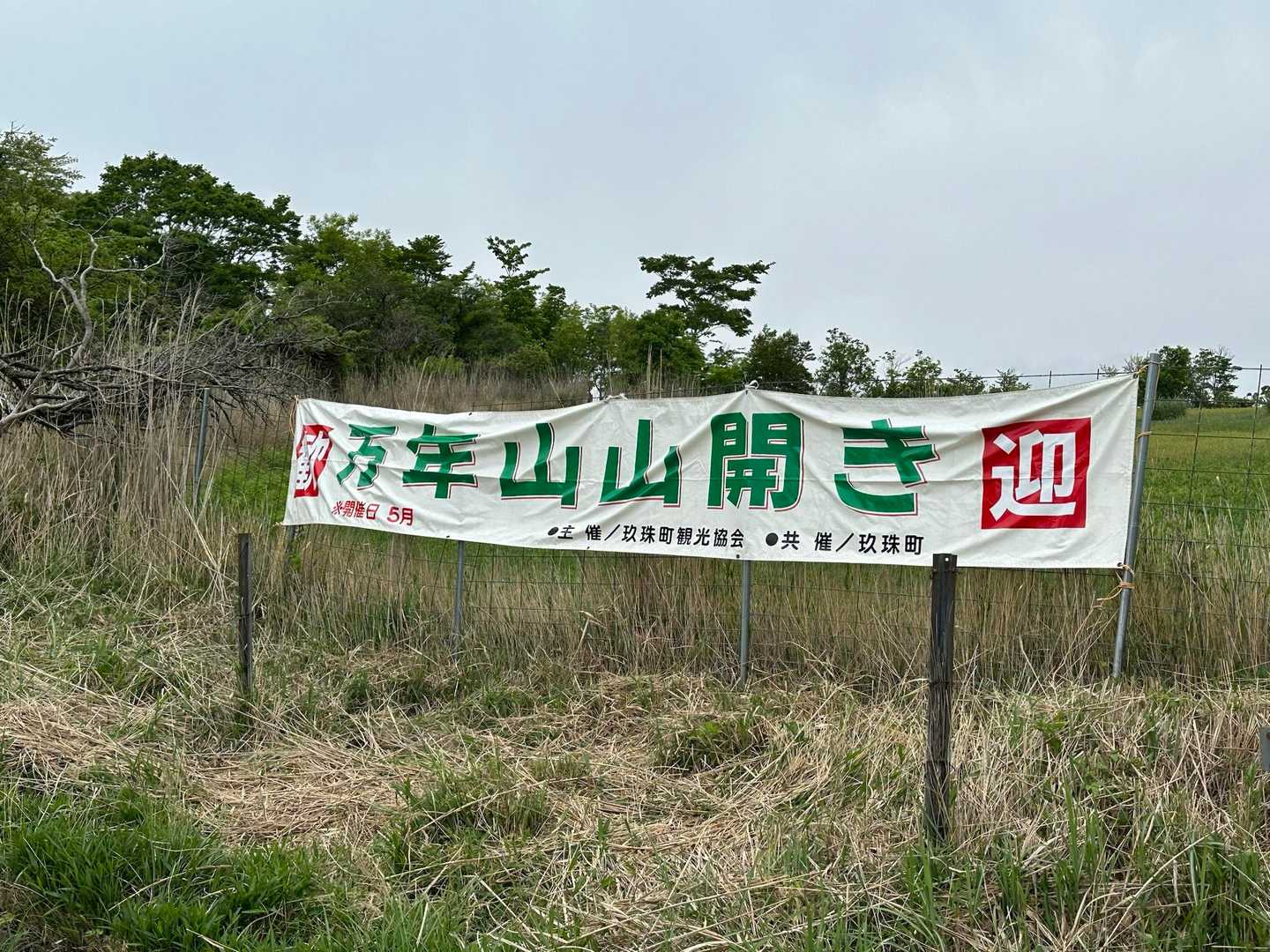 土砂降りじゃなくて良かった〜