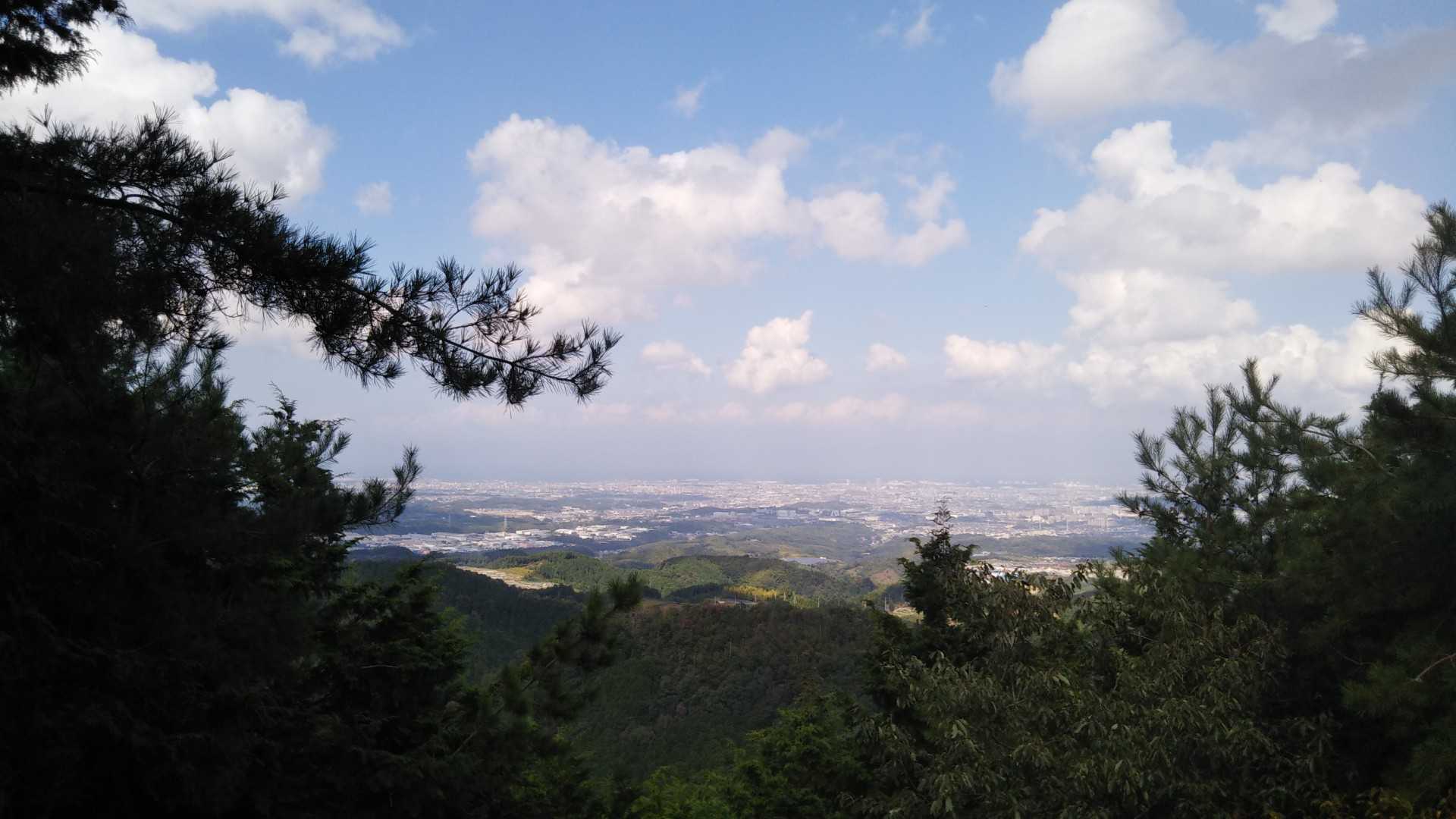 施福寺-槇尾山バス停 縦走コースの写真