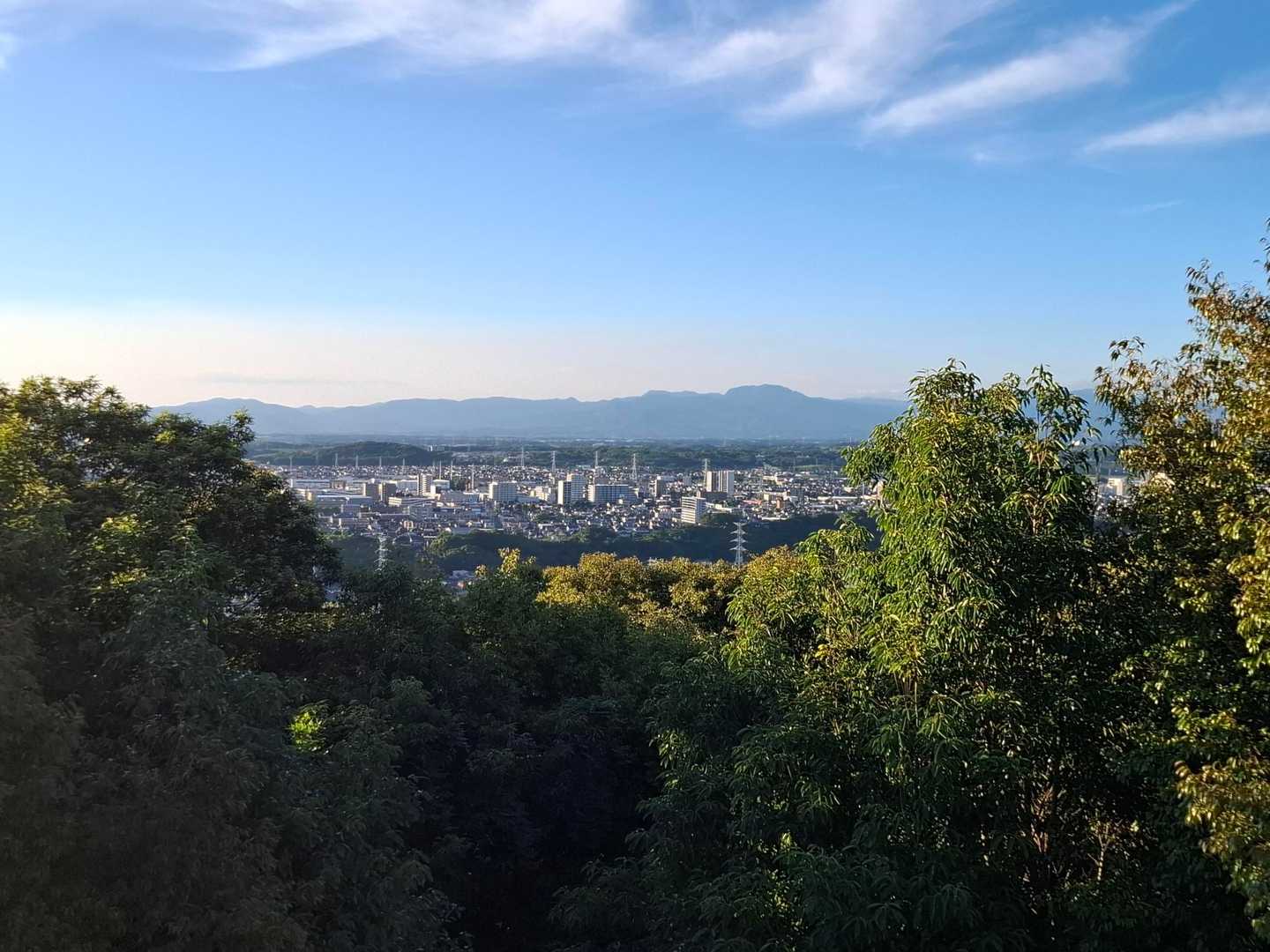 展望台から
