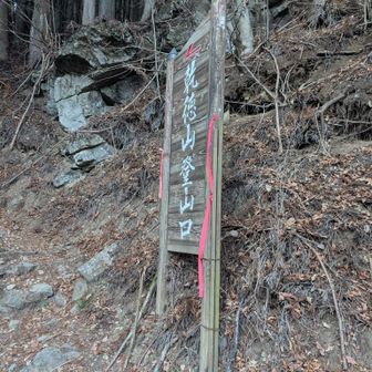 こっちから登る方が傾斜は緩やかだけれどね。。。また次回ね