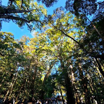 神聖な空気を感じ、心が洗われます✨