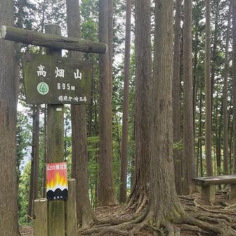 高畑山