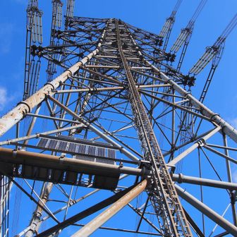 うしかめでんでん