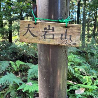 大岩山