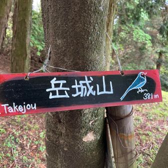 若杉山から1時間余りで岳城山へ
この標識は初めて見た。コックンさん製？