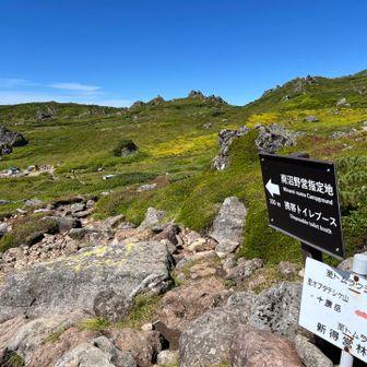 テント泊⛺️も考えましたが重いリュック背負ってここまでくるのはソロでは危険⚠️と判断？