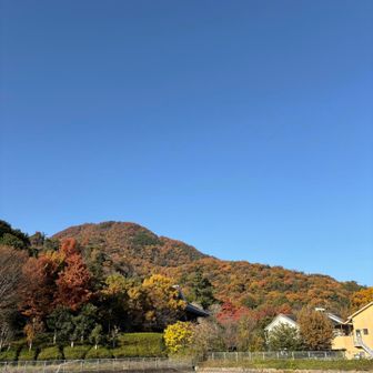 ありがとございました