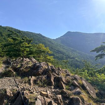 樹林帯を抜けアポイ岳が見えました