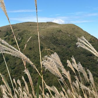 孫三瓶山からの子三瓶山